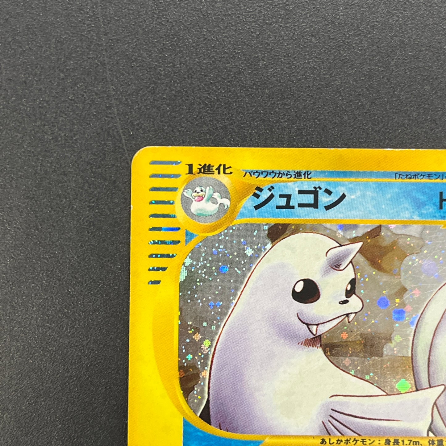 Dewgong 025/088 Mysterious Mountains Holo e Pokemon Card