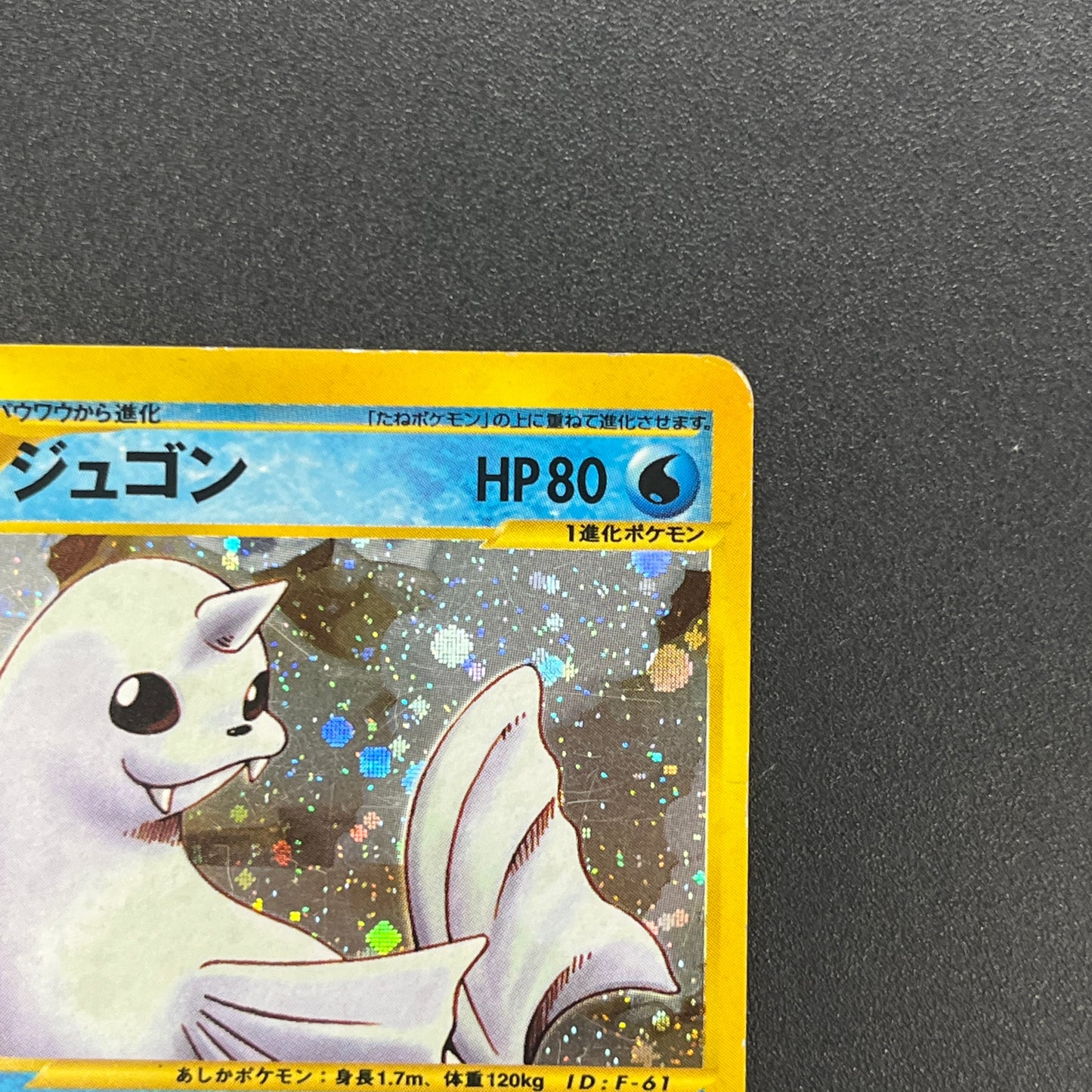 Dewgong 025/088 Mysterious Mountains Holo e Pokemon Card