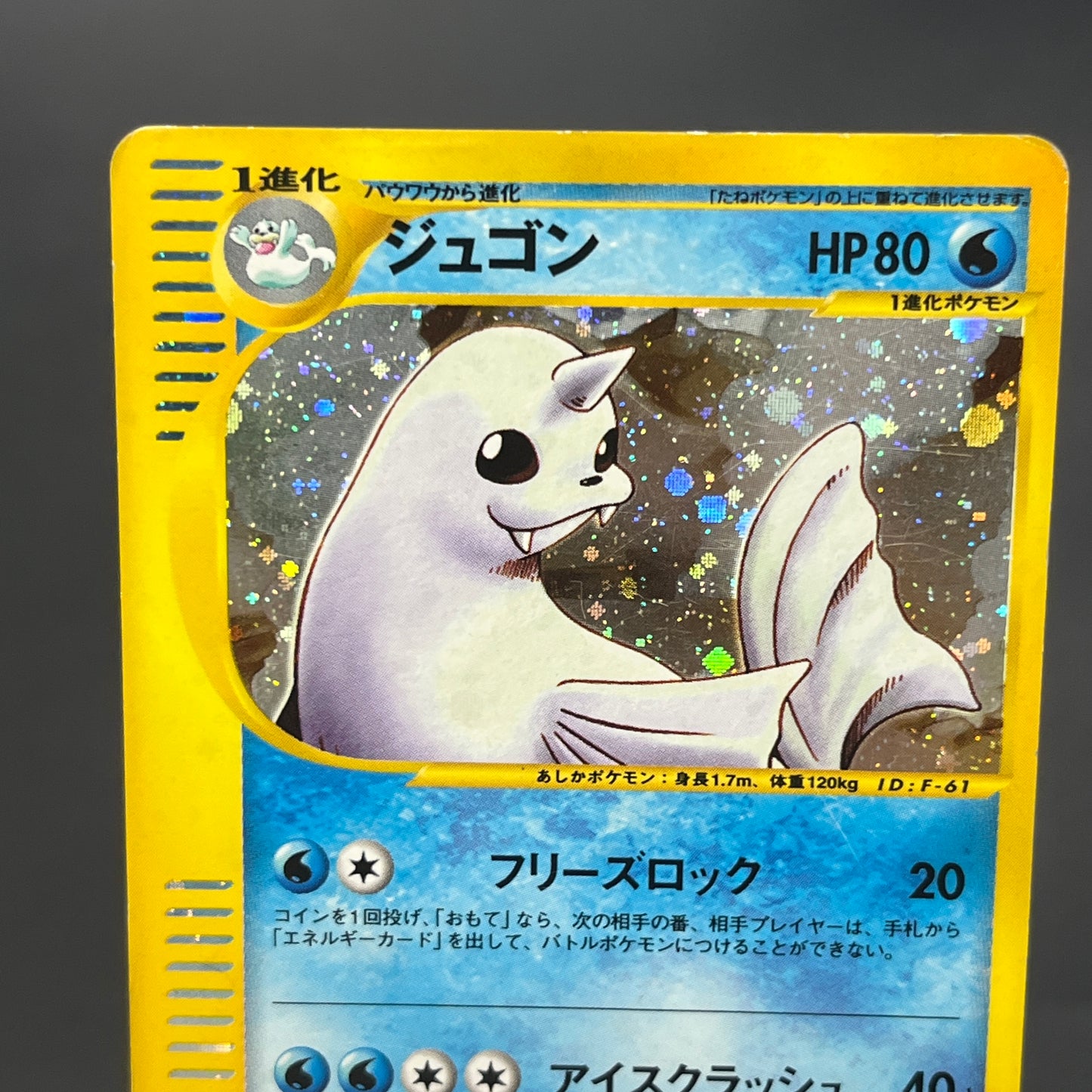 Dewgong 025/088 Mysterious Mountains Holo e Pokemon Card