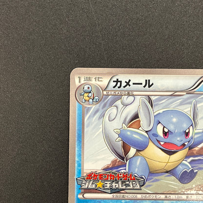 Wartortle 166/BW-P Promos Gym Challenge pack Pokemon Card