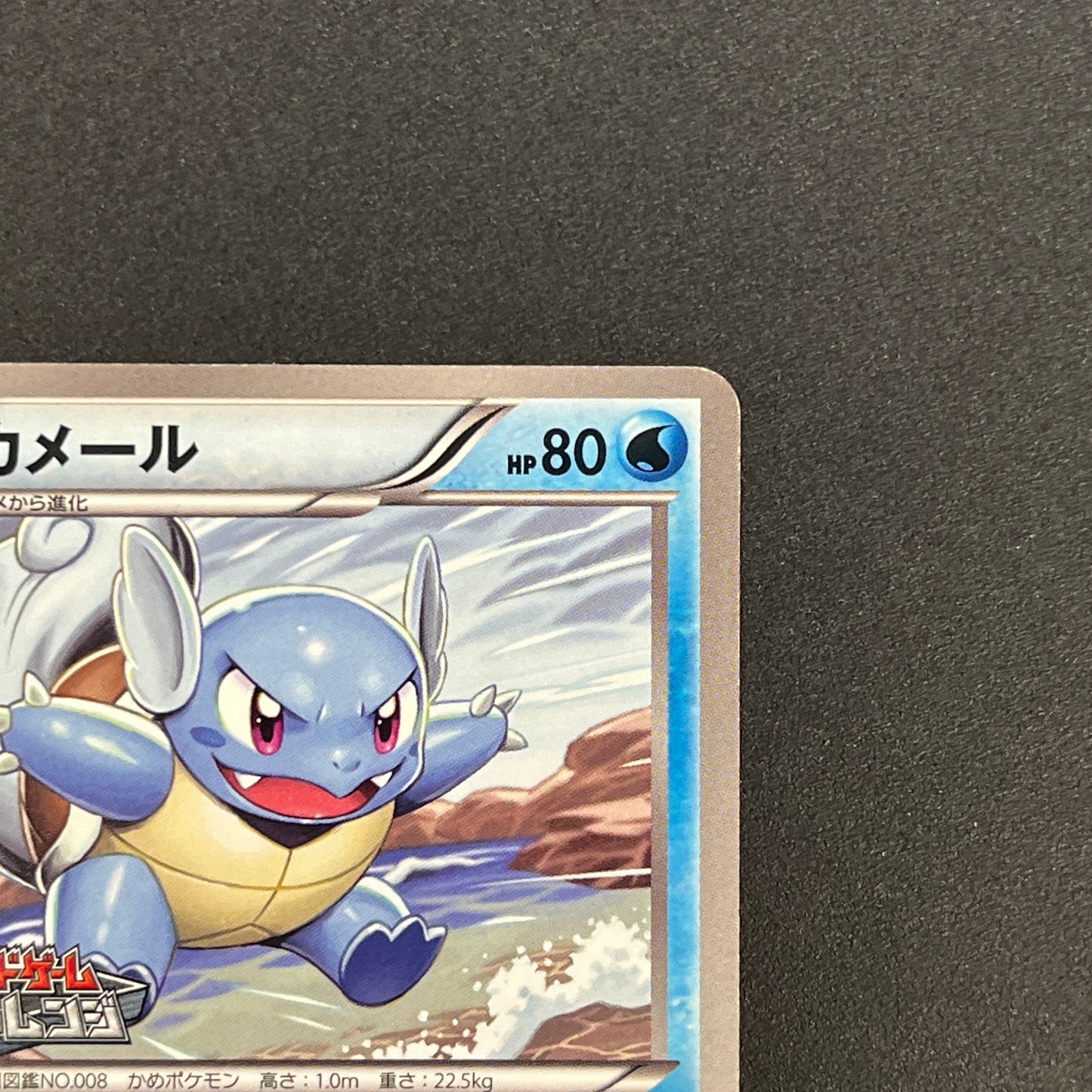 Wartortle 166/BW-P Promos Gym Challenge pack Pokemon Card