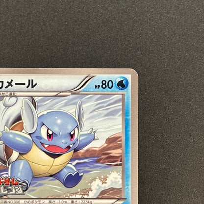 Wartortle 166/BW-P Promos Gym Challenge pack Pokemon Card