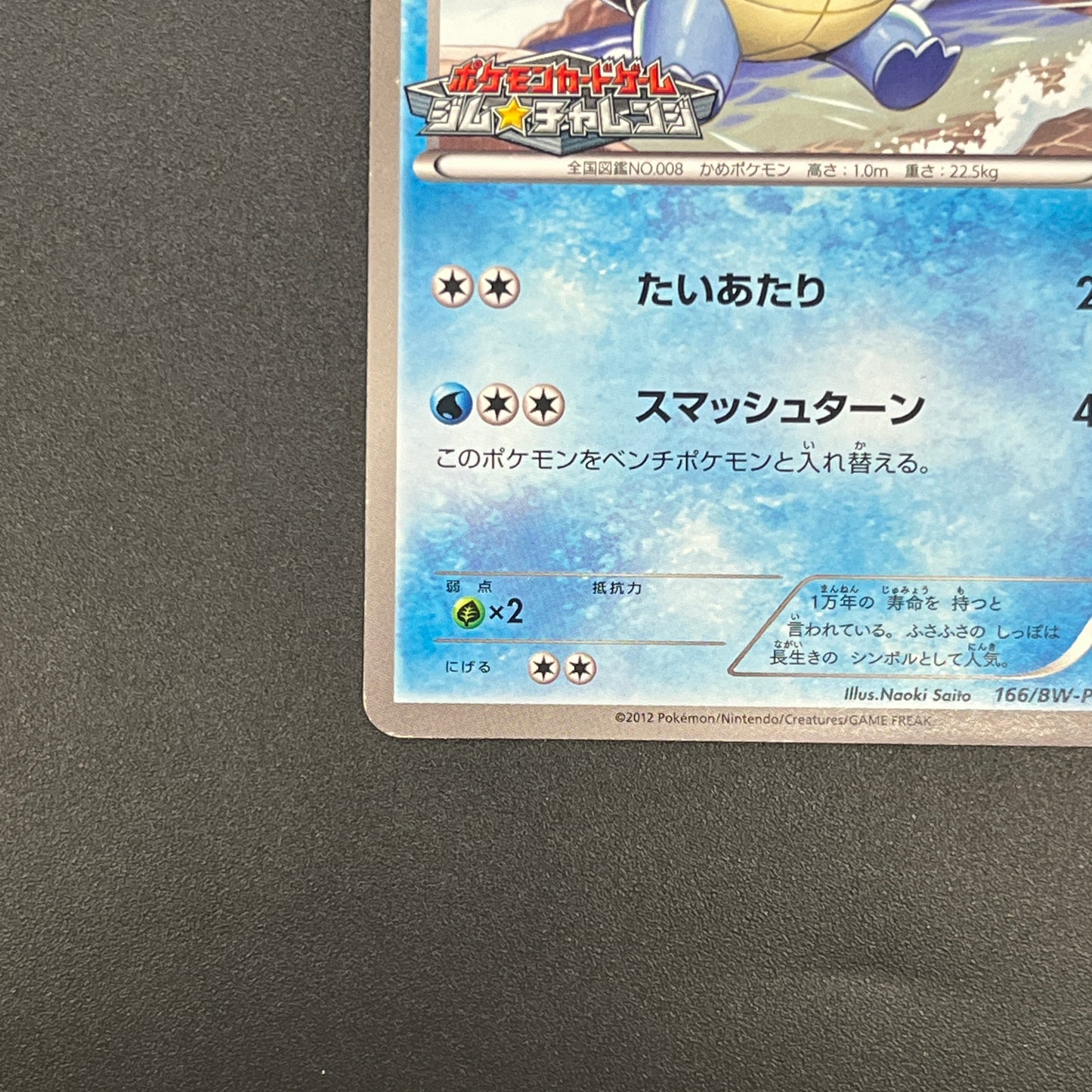 Wartortle 166/BW-P Promos Gym Challenge pack Pokemon Card