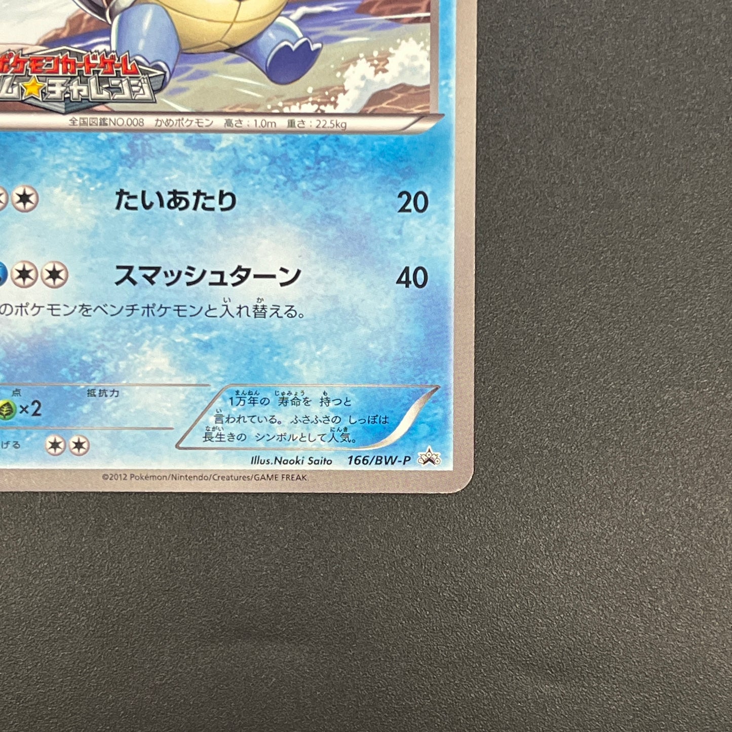 Wartortle 166/BW-P Promos Gym Challenge pack Pokemon Card