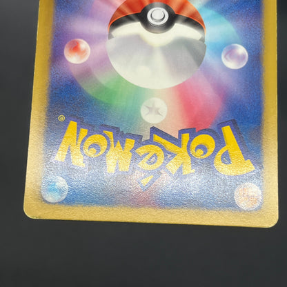 Wartortle 166/BW-P Promos Gym Challenge pack Pokemon Card