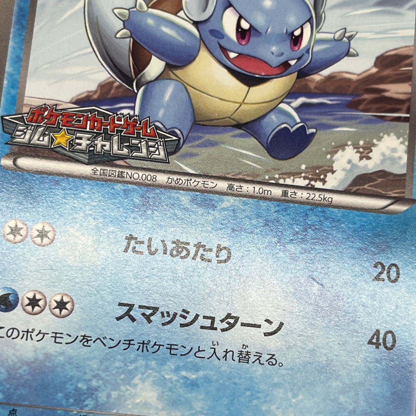 Wartortle 166/BW-P Promos Gym Challenge pack Pokemon Card
