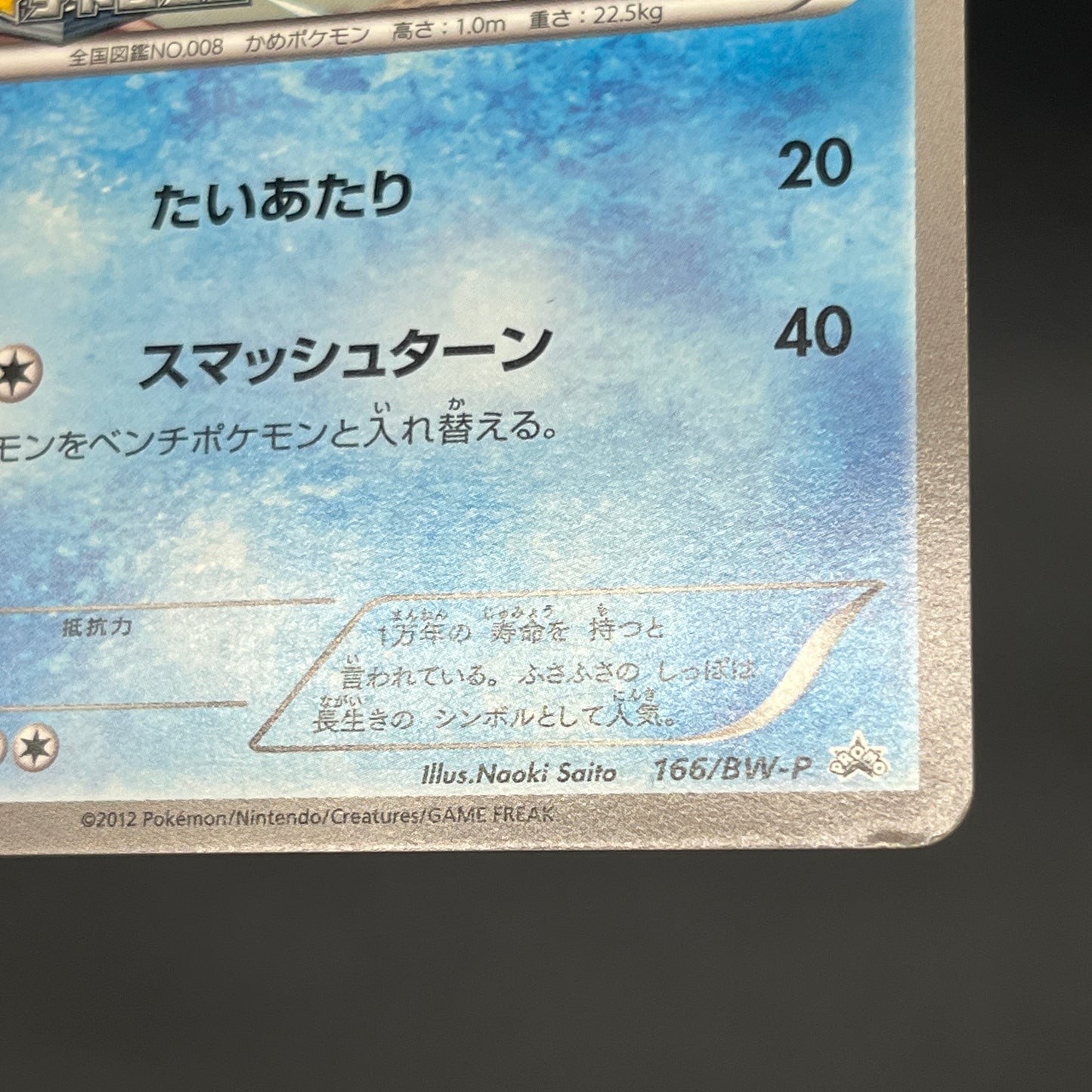 Wartortle 166/BW-P Promos Gym Challenge pack Pokemon Card