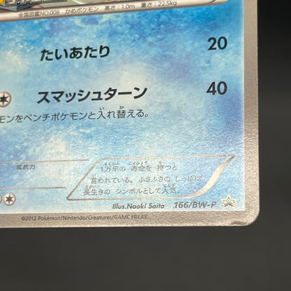 Wartortle 166/BW-P Promos Gym Challenge pack Pokemon Card