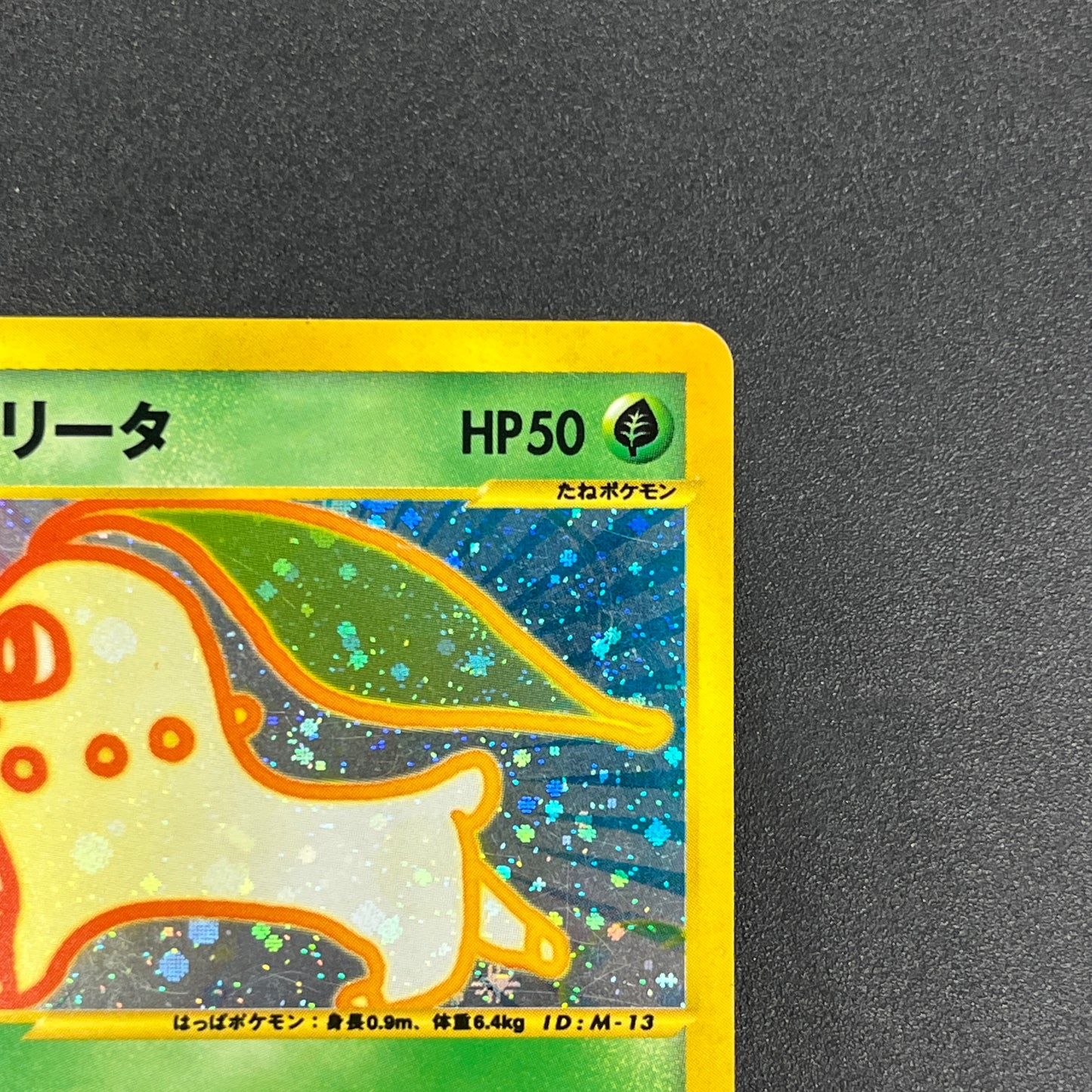 Chikorita 003/018 McDonald's Promo Holo e Pokemon Card