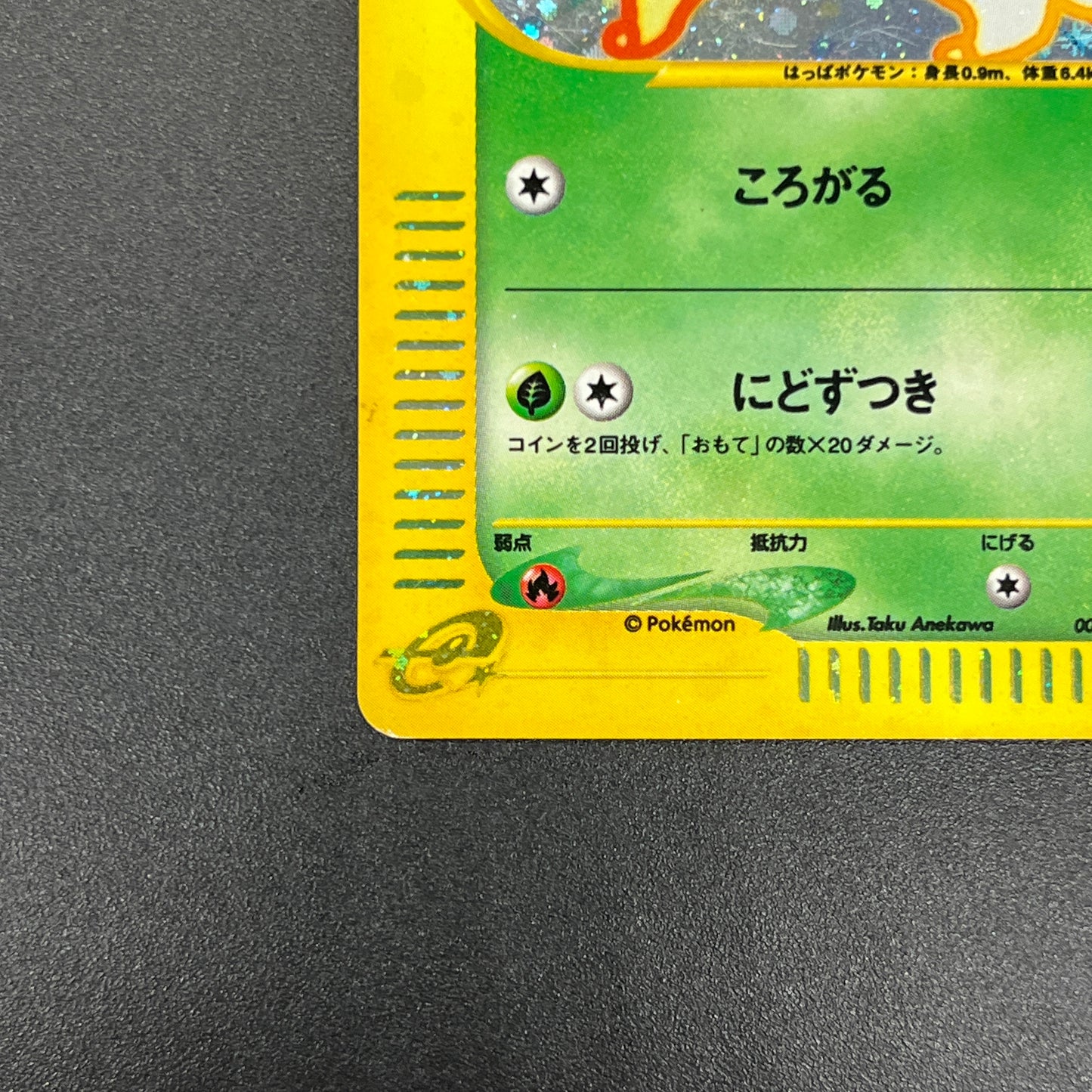 Chikorita 003/018 McDonald's Promo Holo e Pokemon Card