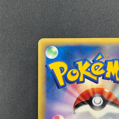 Chikorita 003/018 McDonald's Promo Holo e Pokemon Card