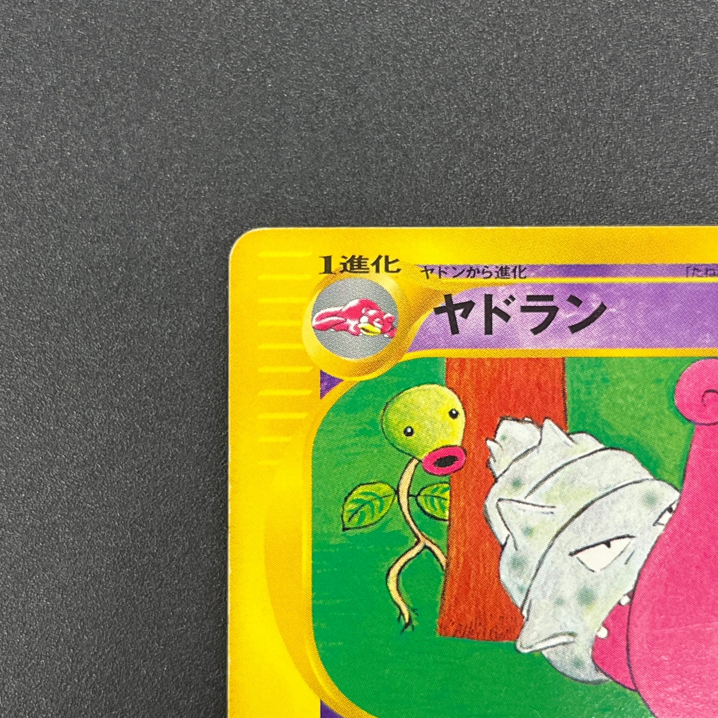 Slowbro 005 /T Trainers Magazine Promo e Pokemon Card