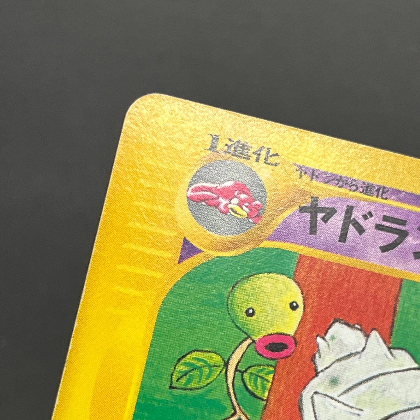 Slowbro 005 /T Trainers Magazine Promo e Pokemon Card