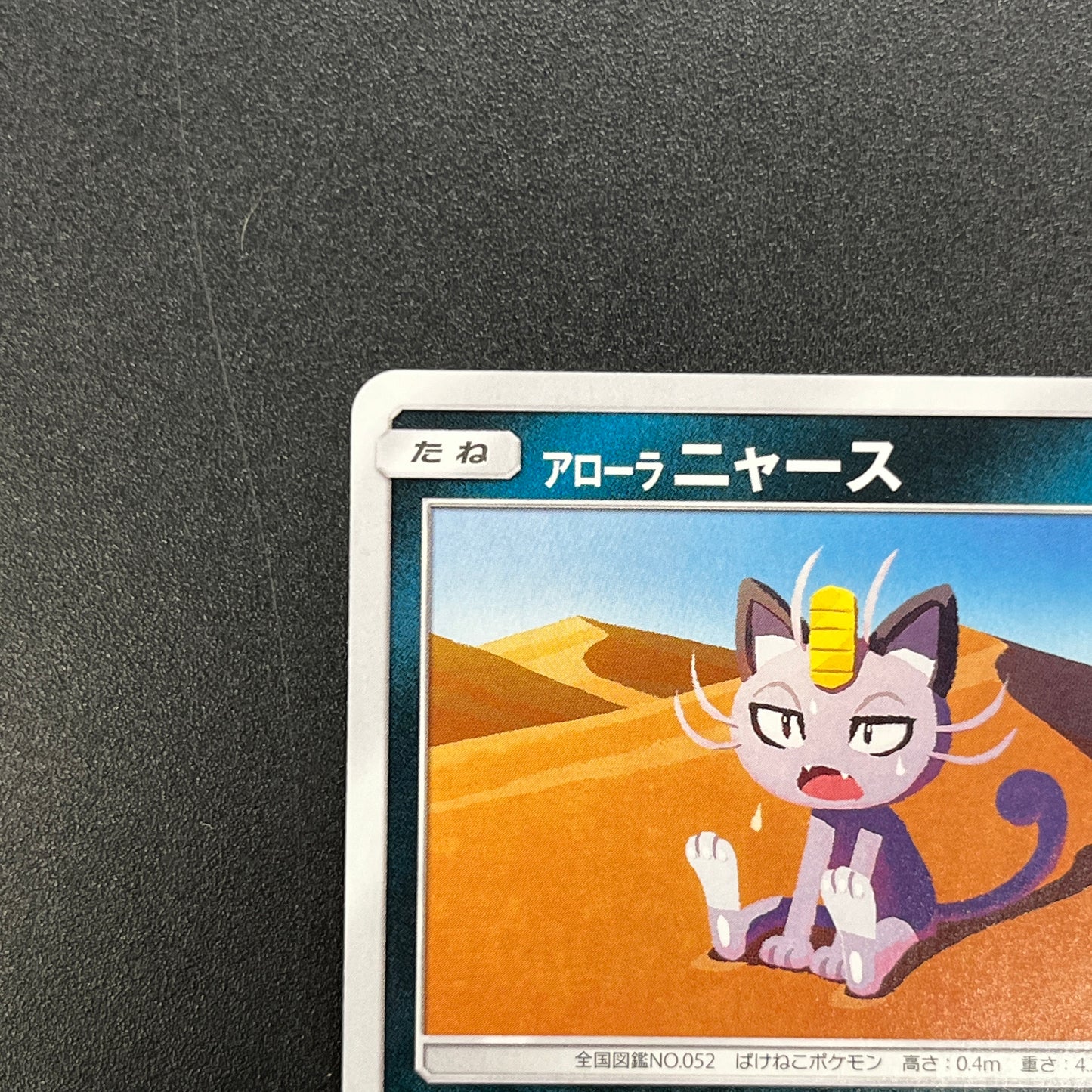 Alolan Meowth 255/SM-P Promo Gym Japanese Pokemon Card