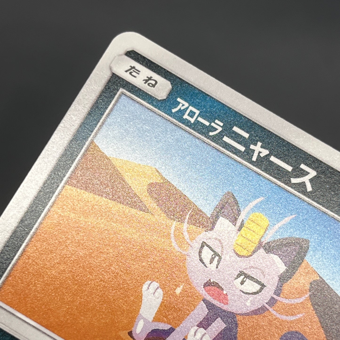 Alolan Meowth 255/SM-P Promo Gym Japanese Pokemon Card