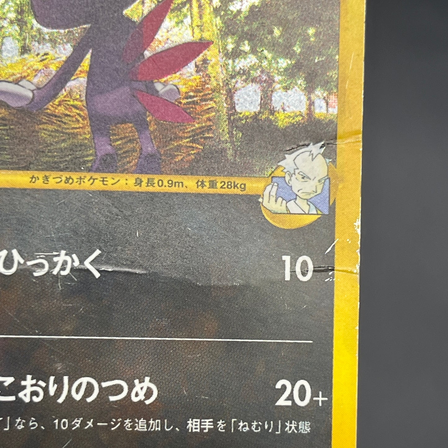 Pryce's Sneasel 043/141 VS Series Japanese Pokemon Card