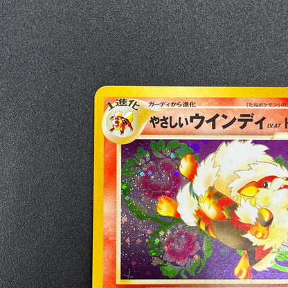 Light Arcanine No. 059 Neo Destiny Holo LP Pokémon Card