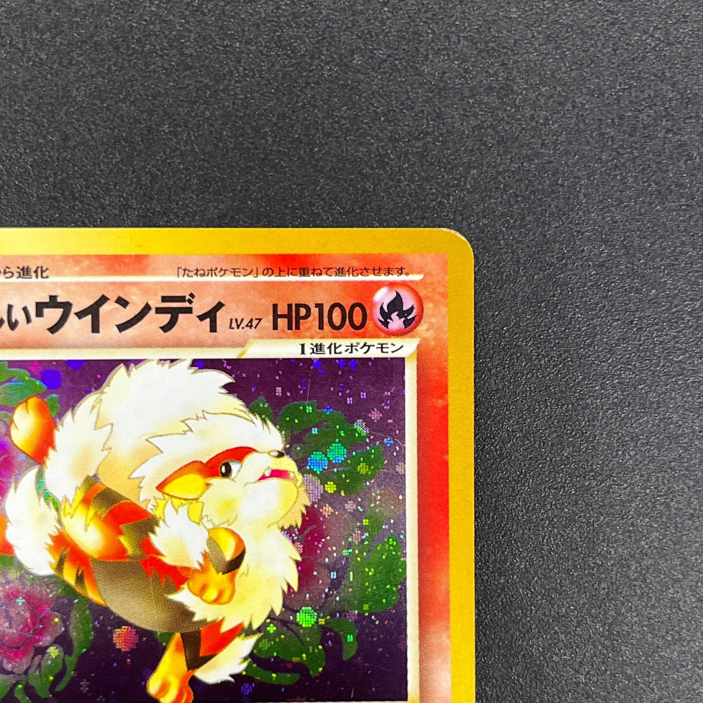 Light Arcanine No. 059 Neo Destiny Holo LP Pokémon Card