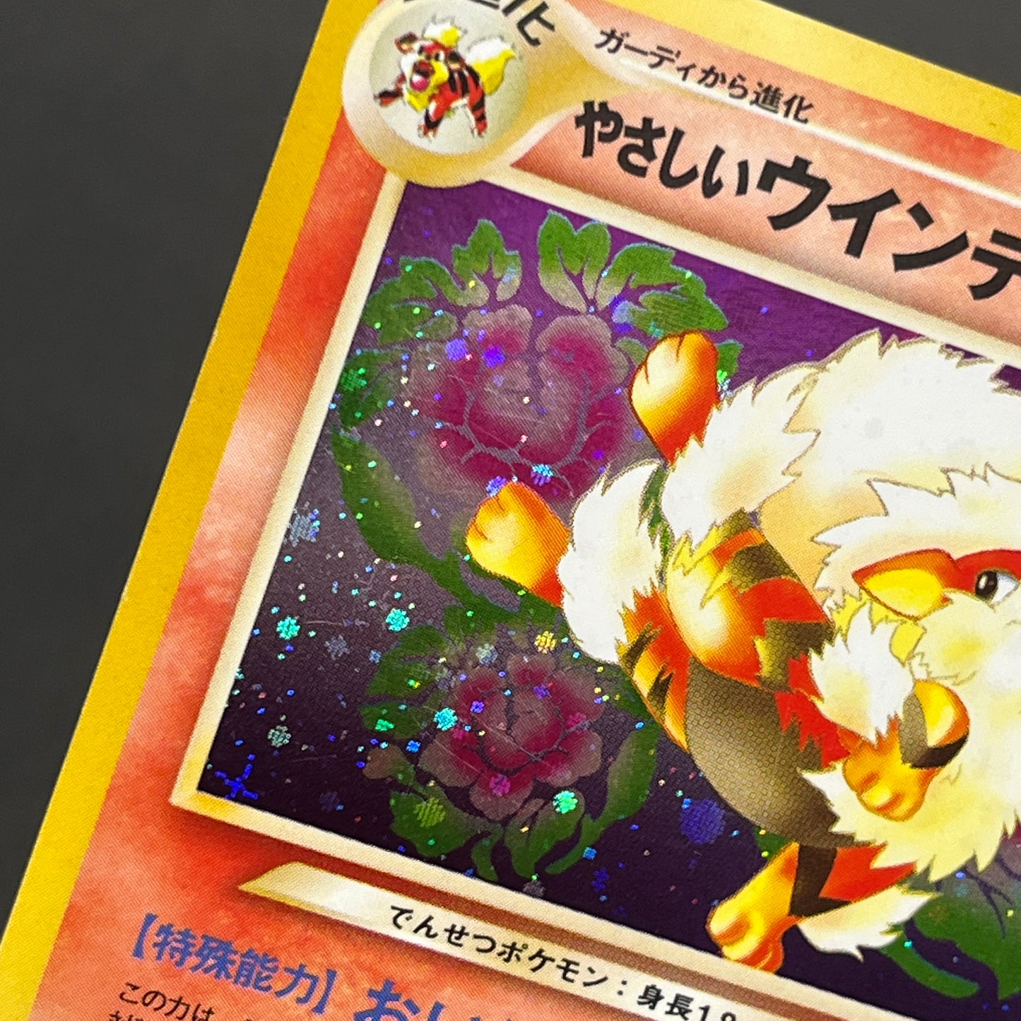 Light Arcanine No. 059 Neo Destiny Holo LP Pokémon Card