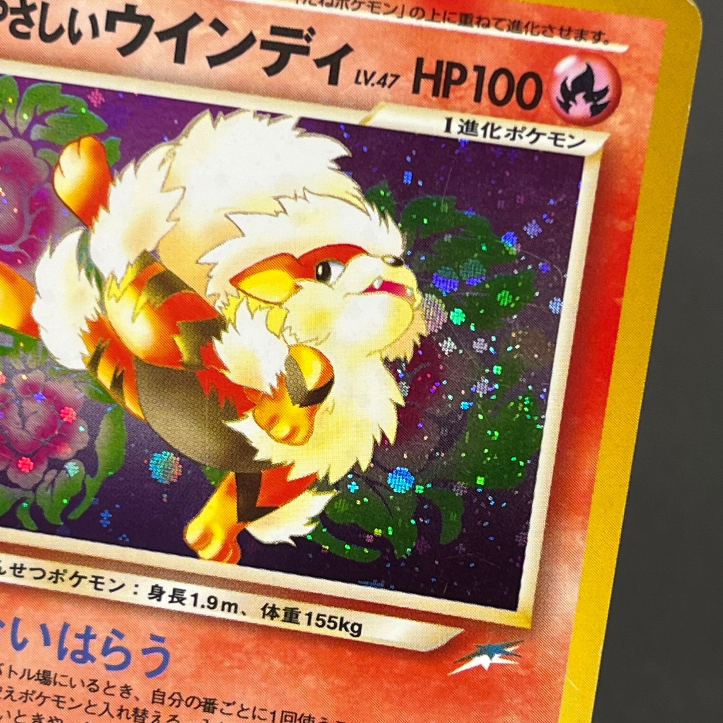 Light Arcanine No. 059 Neo Destiny Holo LP Pokémon Card