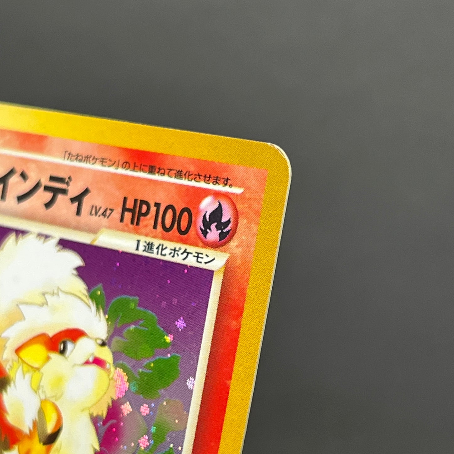 Light Arcanine No. 059 Neo Destiny Holo LP Pokémon Card