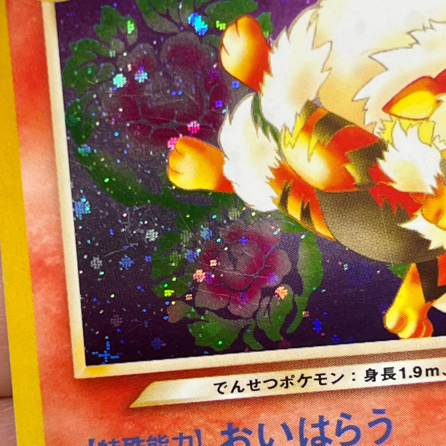 Light Arcanine No. 059 Neo Destiny Holo LP Pokémon Card