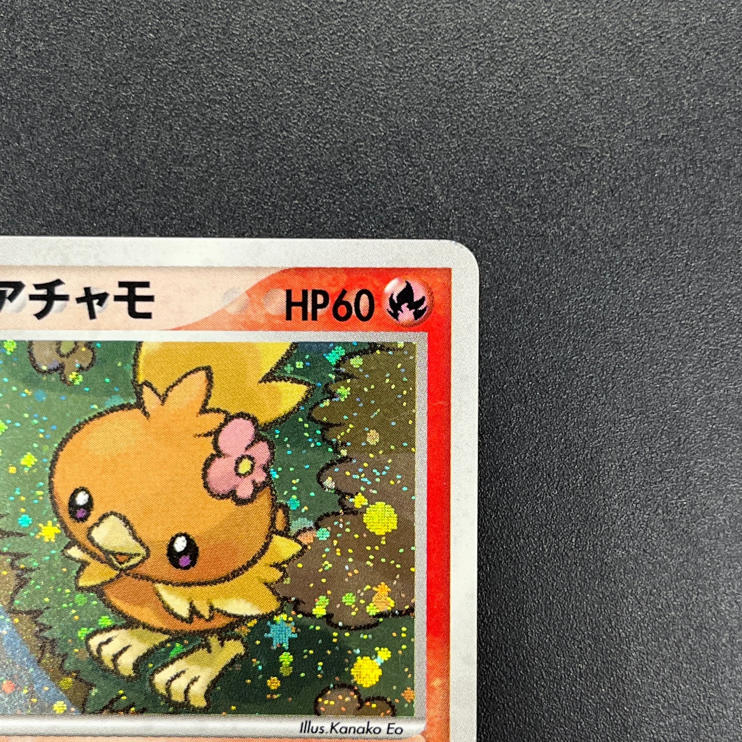 Pokepark's Torchic 002/009 Forest File Promo Holo Card