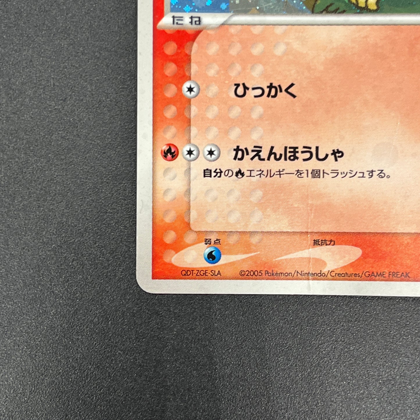 Pokepark's Torchic 002/009 Forest File Promo Holo Card