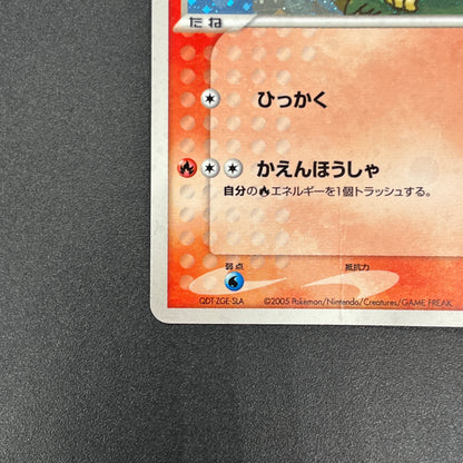 Pokepark's Torchic 002/009 Forest File Promo Holo Card