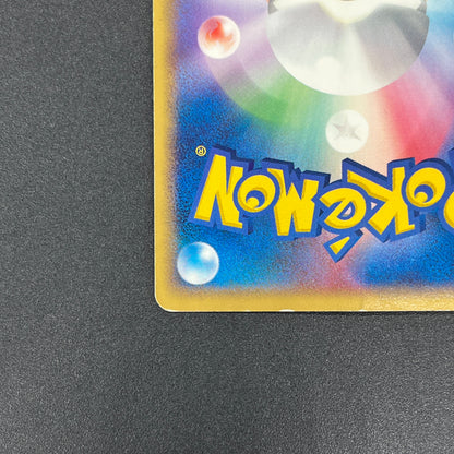 Pokepark's Torchic 002/009 Forest File Promo Holo Card