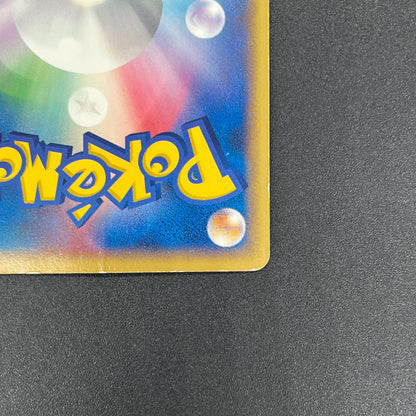 Pokepark's Torchic 002/009 Forest File Promo Holo Card