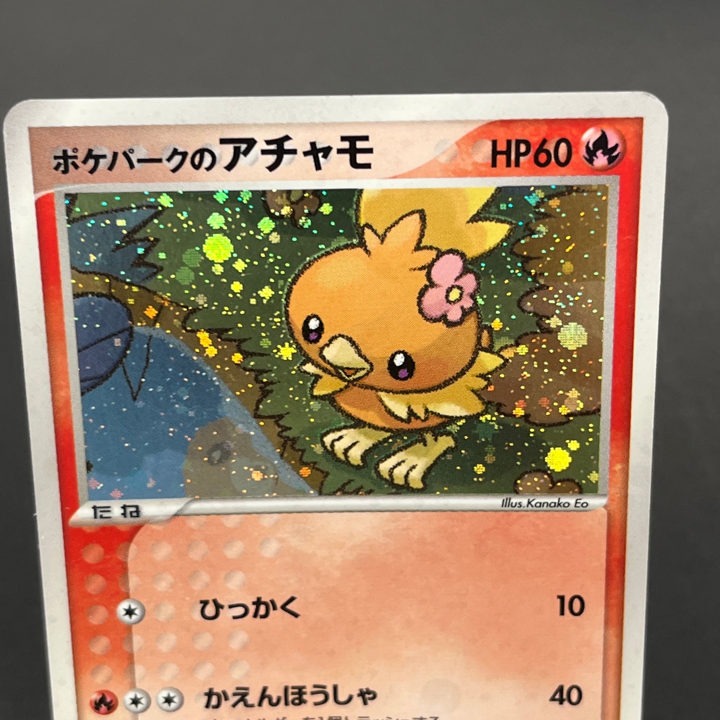Pokepark's Torchic 002/009 Forest File Promo Holo Card