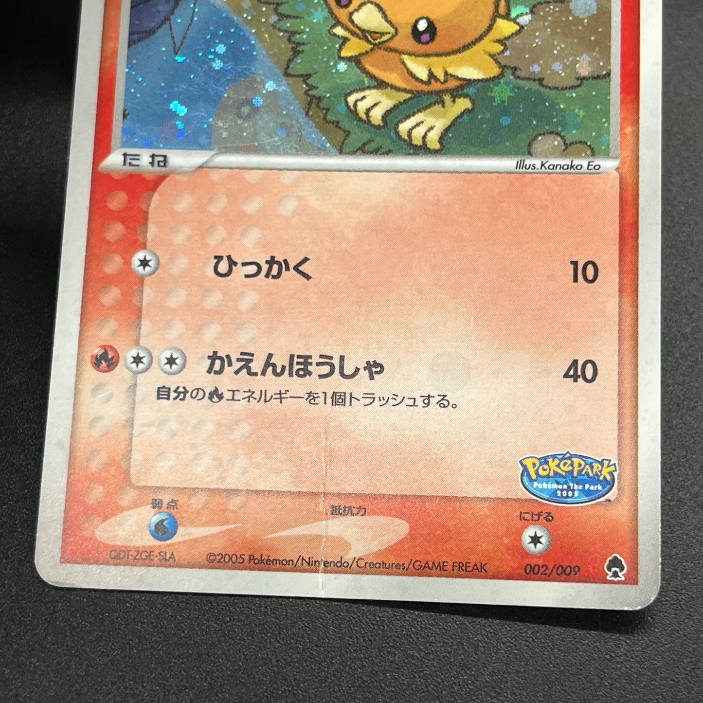 Pokepark's Torchic 002/009 Forest File Promo Holo Card