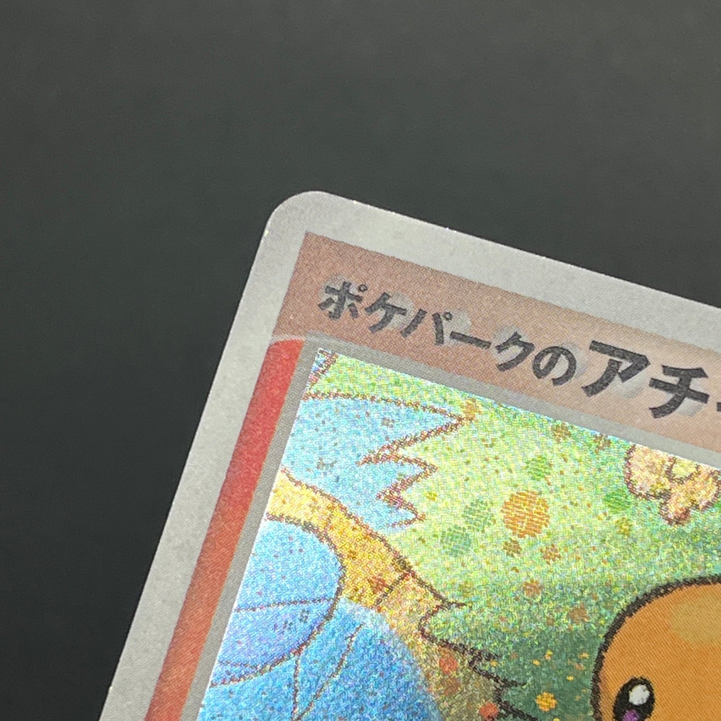 Pokepark's Torchic 002/009 Forest File Promo Holo Card