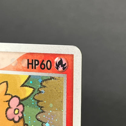 Pokepark's Torchic 002/009 Forest File Promo Holo Card