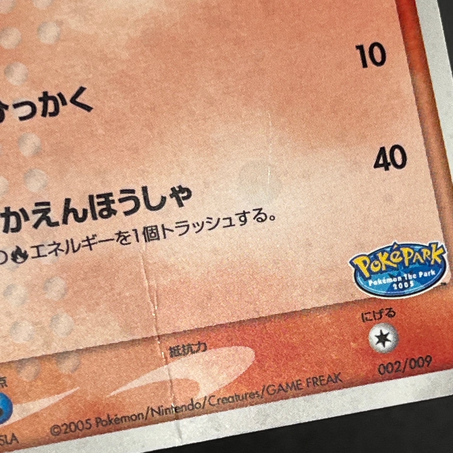 Pokepark's Torchic 002/009 Forest File Promo Holo Card