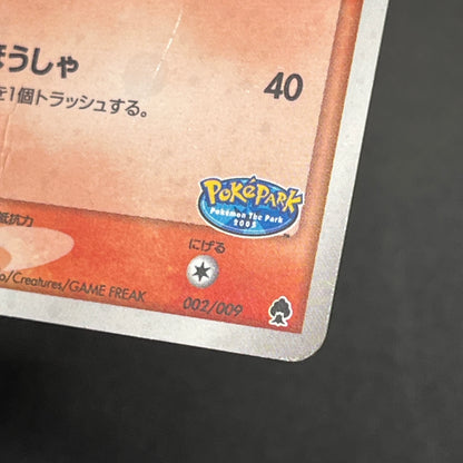 Pokepark's Torchic 002/009 Forest File Promo Holo Card