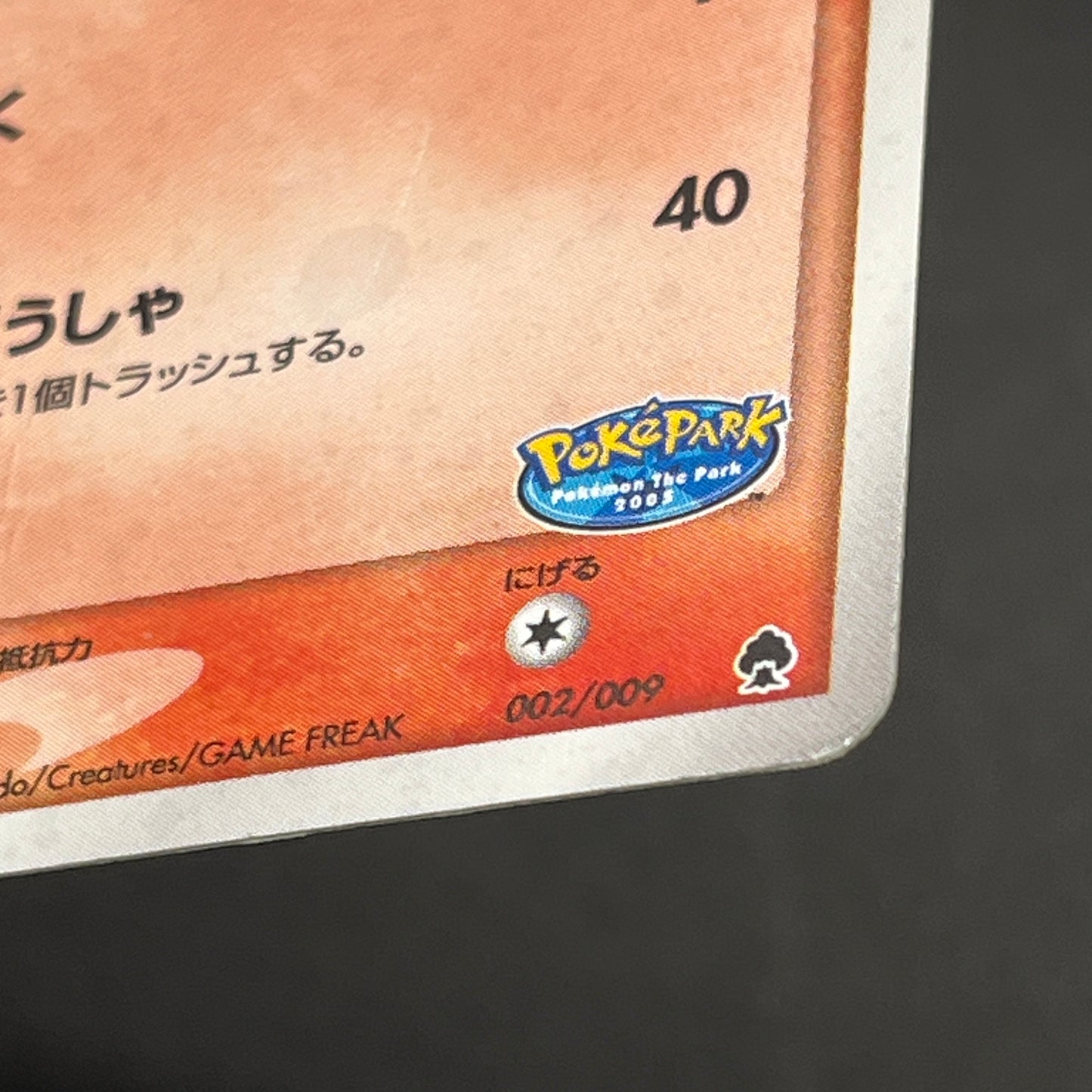 Pokepark's Torchic 002/009 Forest File Promo Holo Card