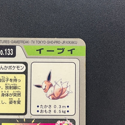 Eevee File No. 133 Bandai Carddass Prism Pokémon Card