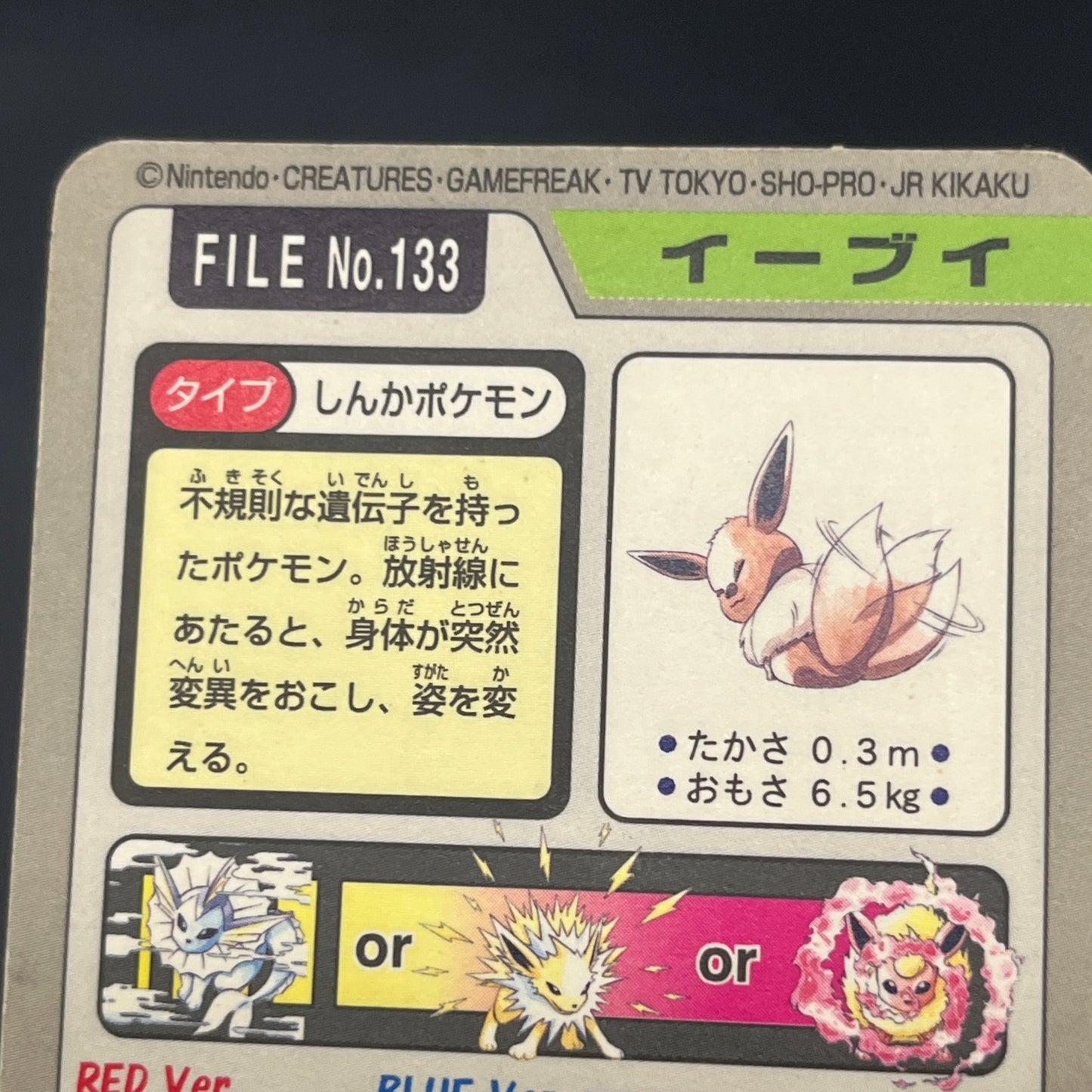 Eevee File No. 133 Bandai Carddass Prism Pokémon Card