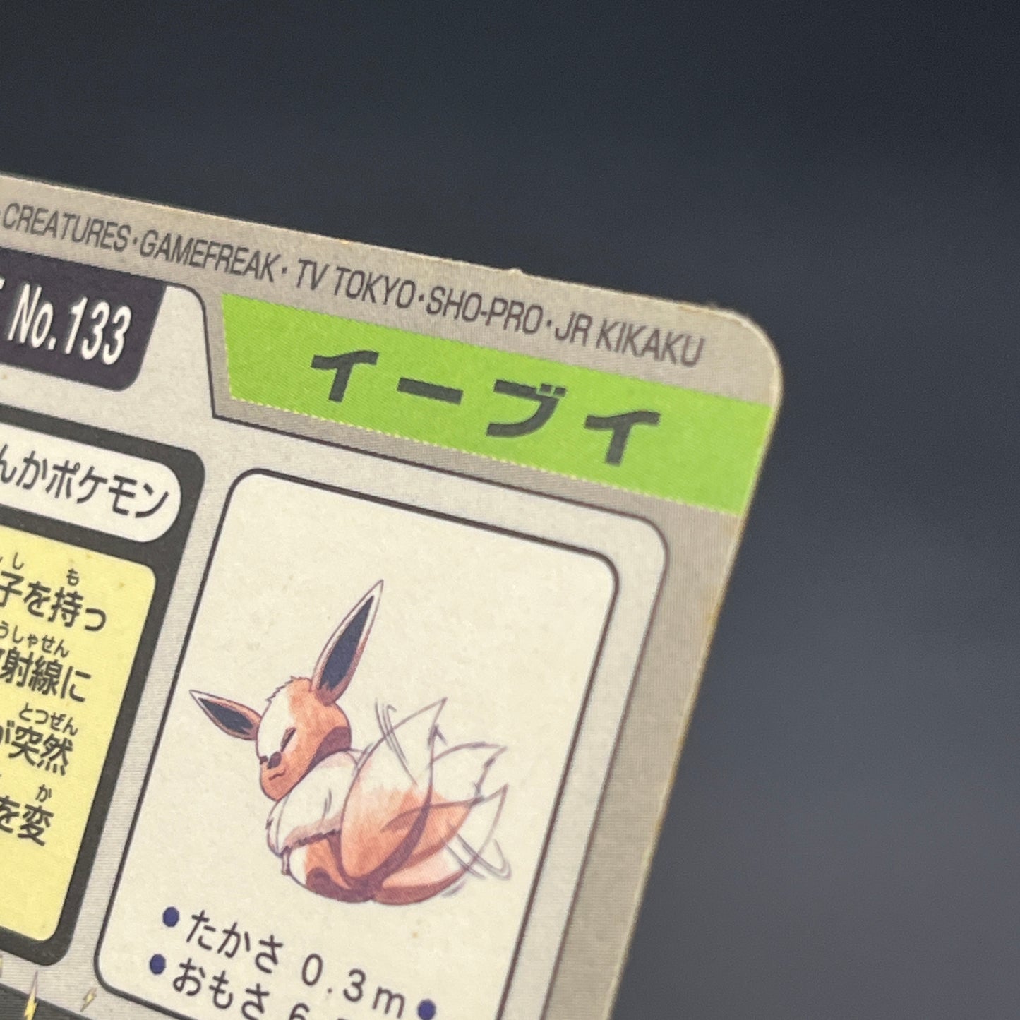 Eevee File No. 133 Bandai Carddass Prism Pokémon Card