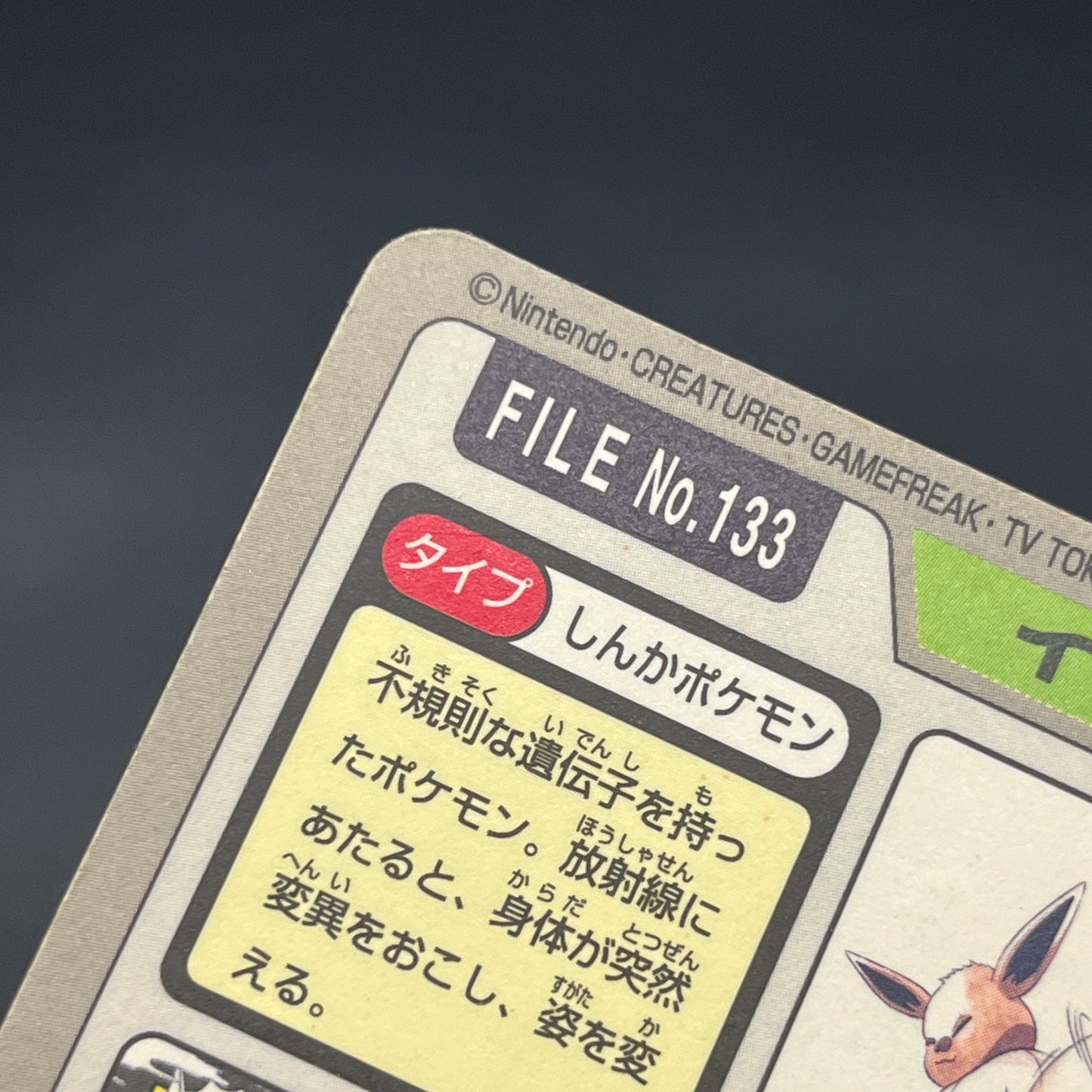 Eevee File No. 133 Bandai Carddass Prism Pokémon Card