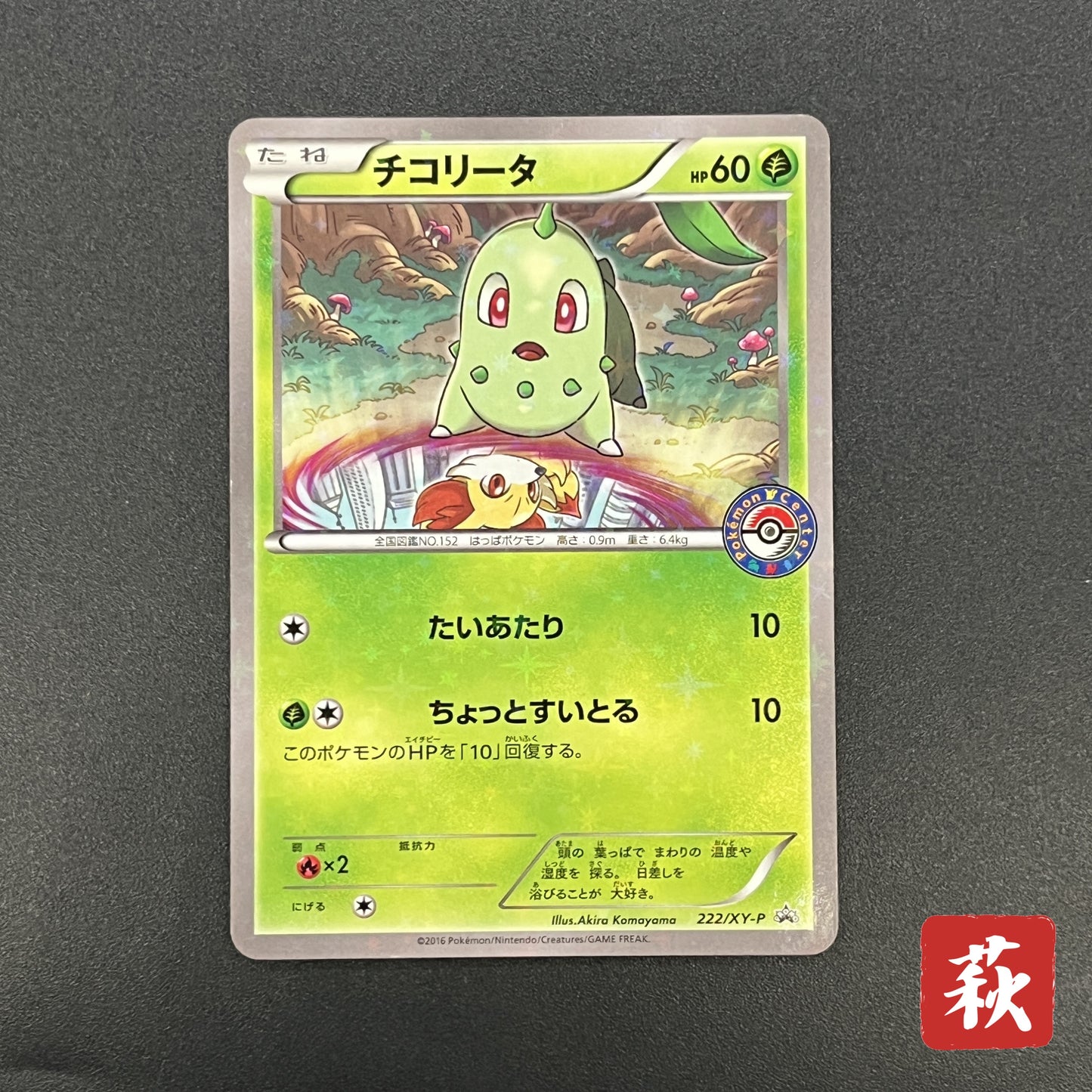 Chikorita 222/XY-P Ho-Oh/Lugia Special Set Pokemon Card