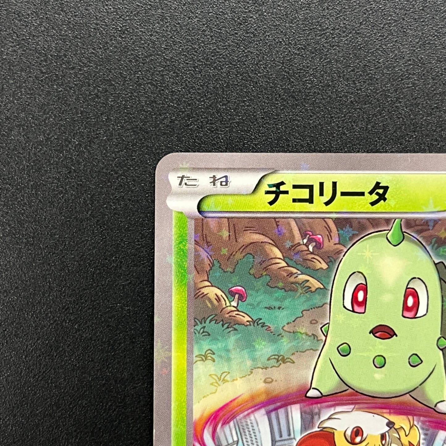 Chikorita 222/XY-P Ho-Oh/Lugia Special Set Pokemon Card