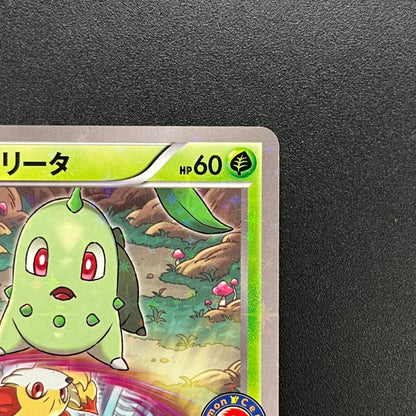Chikorita 222/XY-P Ho-Oh/Lugia Special Set Pokemon Card