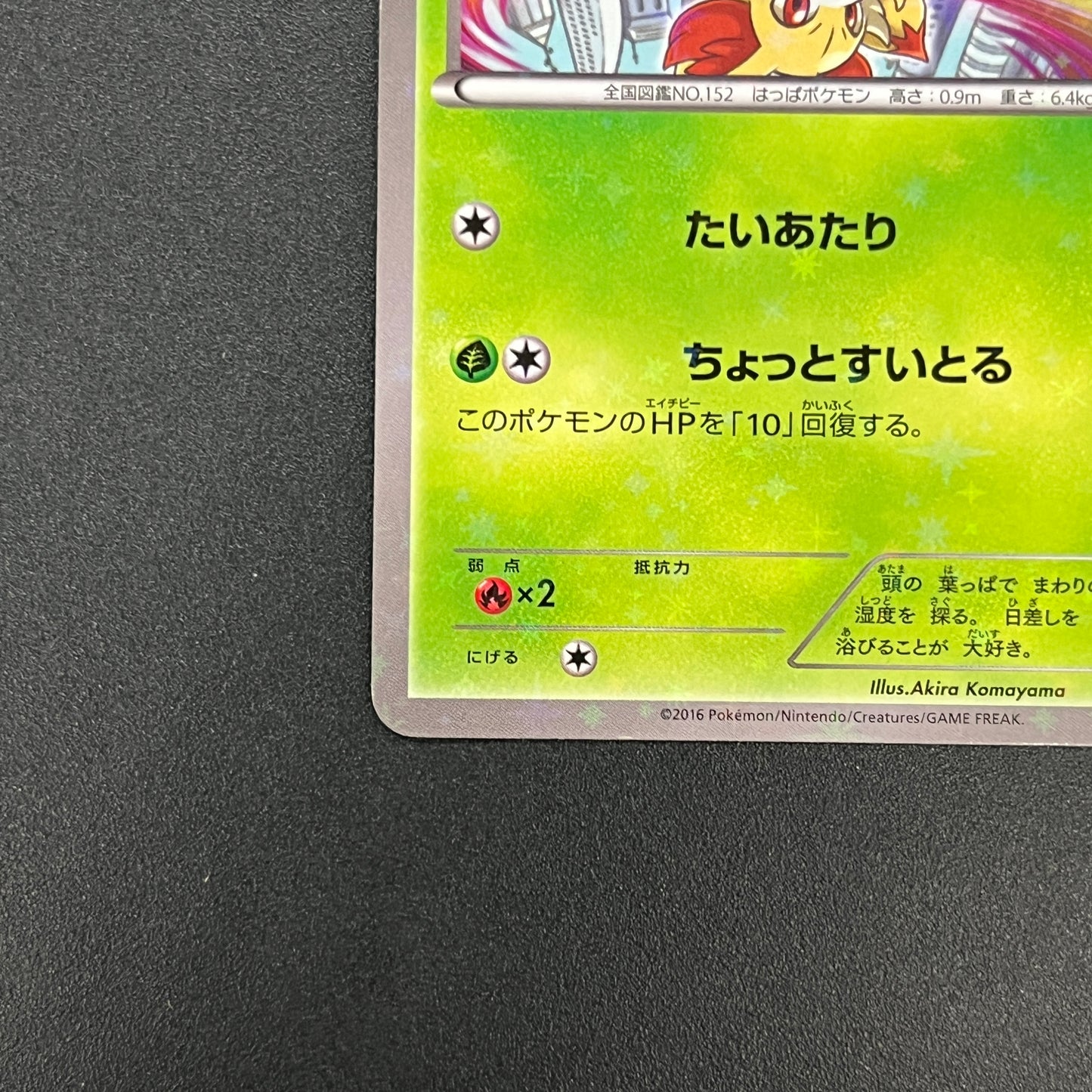 Chikorita 222/XY-P Ho-Oh/Lugia Special Set Pokemon Card