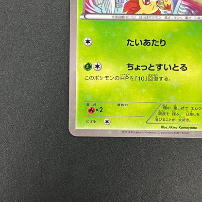 Chikorita 222/XY-P Ho-Oh/Lugia Special Set Pokemon Card