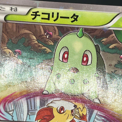 Chikorita 222/XY-P Ho-Oh/Lugia Special Set Pokemon Card