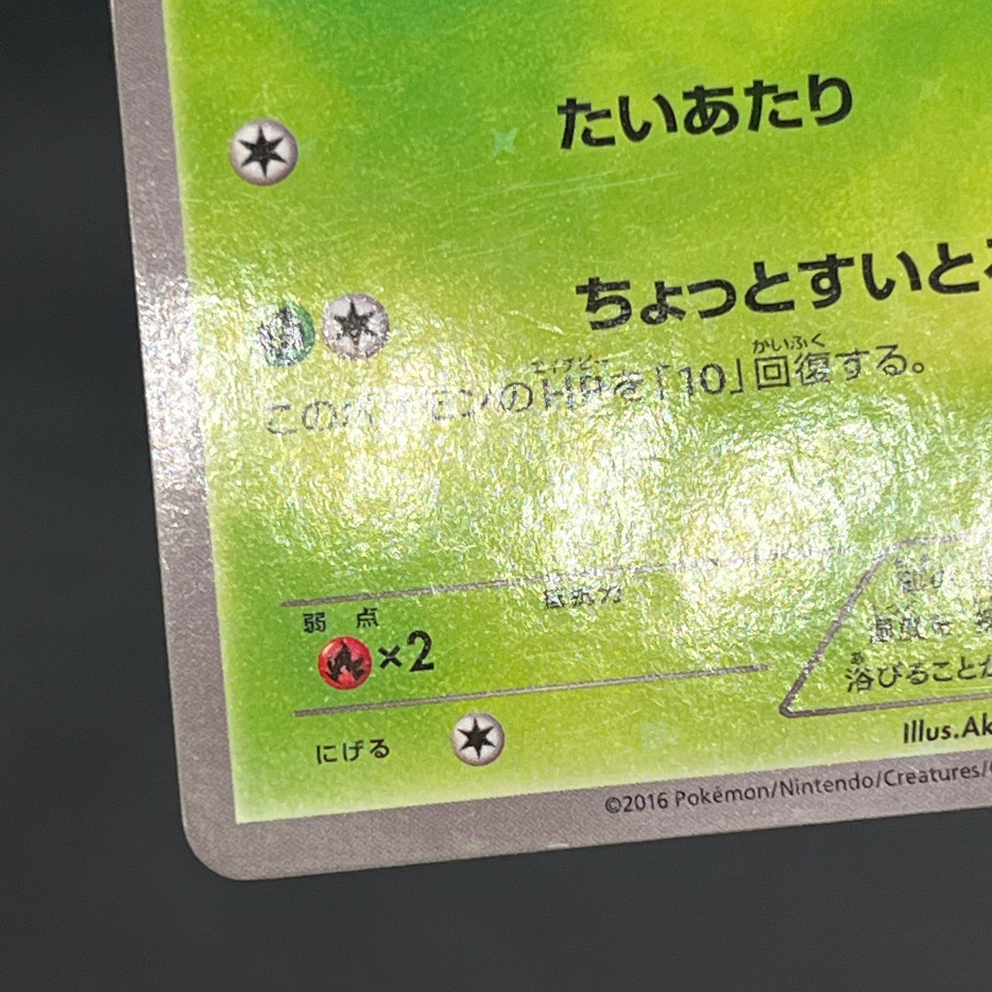 Chikorita 222/XY-P Ho-Oh/Lugia Special Set Pokemon Card