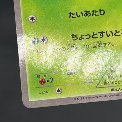 Chikorita 222/XY-P Ho-Oh/Lugia Special Set Pokemon Card